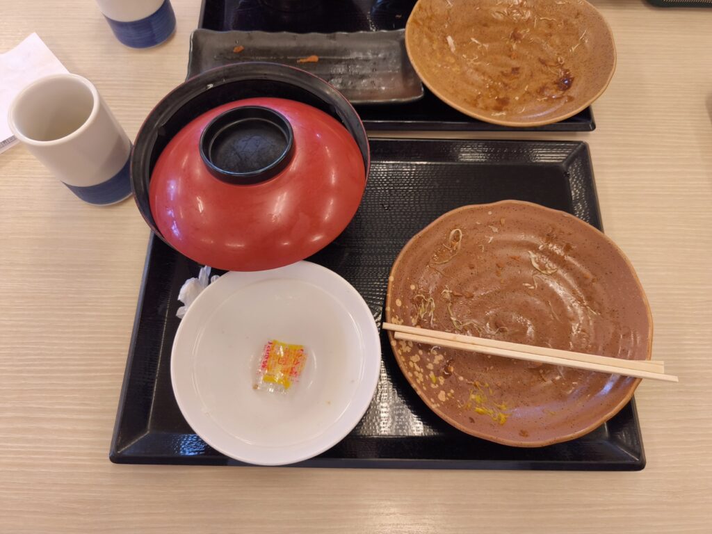 VonLog#7 【遊び三昧】平日にカラオケ&スマブラを満喫する凡人の休日!インプ1万を目指す底辺ブロガーの日常